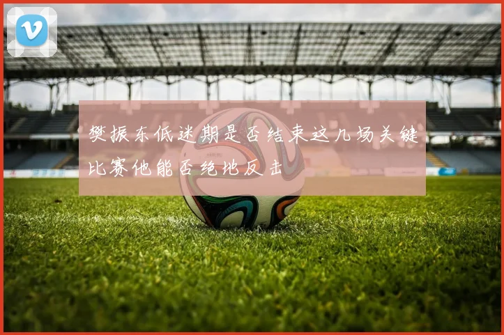 樊振东低迷期是否结束这几场关键比赛他能否绝地反击