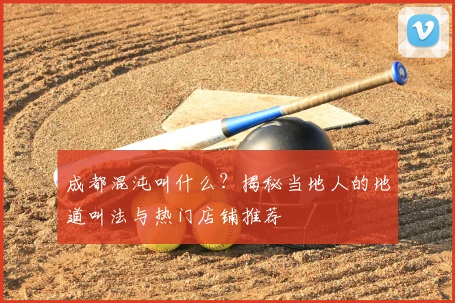 成都混沌叫什么？揭秘当地人的地道叫法与热门店铺推荐